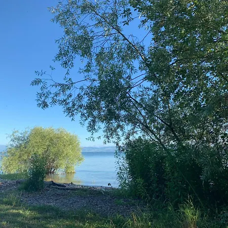 Seedomizil 公寓 腓特烈港