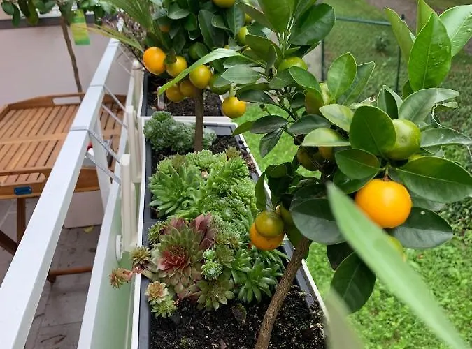 Seedomizil Lejlighed