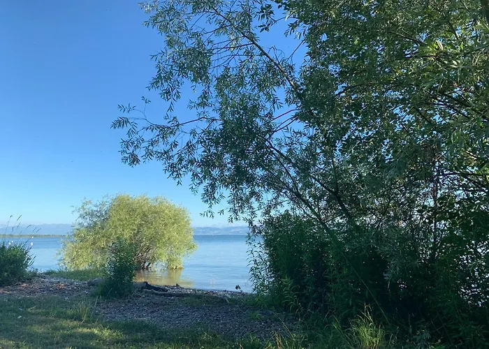 Seedomizil Apartment Friedrichshafen