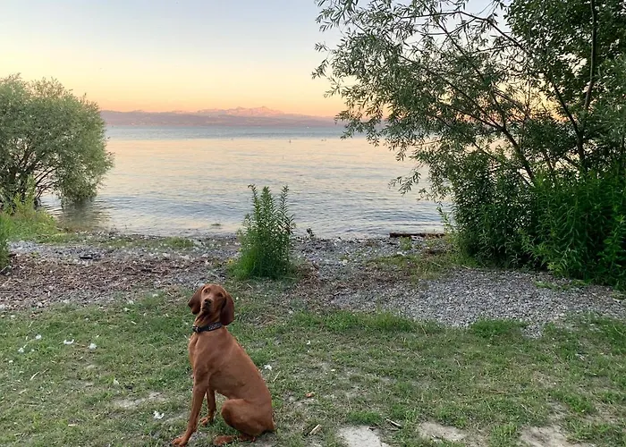 Seedomizil Lejlighed *